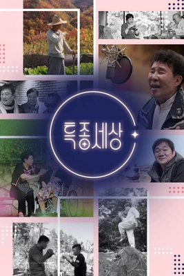 현장르포 특종세상